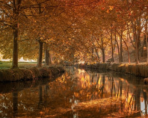 Hombre mirando a la distancia relajado